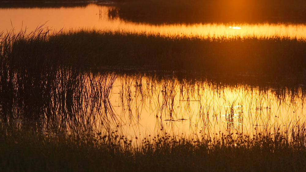 What Every New Mexican Should Know About Their Water